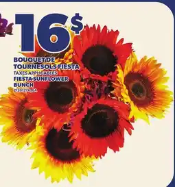 Provigo BOUQUET DE TOURNESOLS FIESTA | FIESTA SUNFLOWER, BUNCH offer