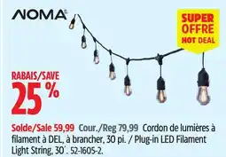 Canadian Tire Noma Plug-in LED Filament Light String, 30´ offer