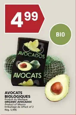 Rachelle-Bery Grocery ORGANIC AVOCADOS offer