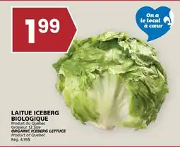 Rachelle-Bery Grocery ORGANIC ICEBERG LETTUCE offer