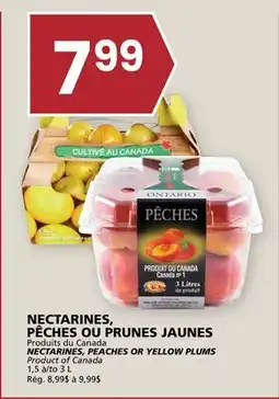 Rachelle-Bery Grocery NECTARINES, PEACHES OR YELLOW PLUMS offer