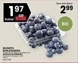 Rachelle-Bery Grocery ORGANIC BLUEBERRIES offer