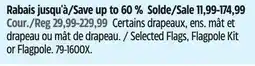 Canadian Tire Selected Flags, Flagpole Kit or Flagpole offer
