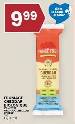 Rachelle-Bery Grocery L'ANCÊTRE ORGANIC CHEDDAR CHEESE offer