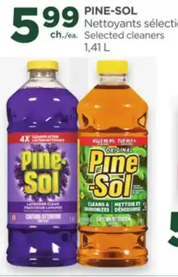Proxim PINE-SOL Selected cleaners offer