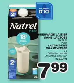 Marches Tradition NATREL PLUS LACTOSE-FREE MILK BEVERAGE offer