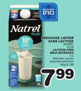 Marches Tradition NATREL PLUS LACTOSE-FREE MILK BEVERAGE offer
