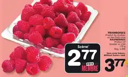 Marches Tradition RASPBERRIES offer