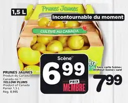 Marches Tradition YELLOW PLUMS offer