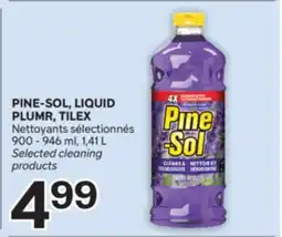 Brunet PINE-SOL, LIQUID PLUMR, TILEX Nettoyants sélectionnés offer
