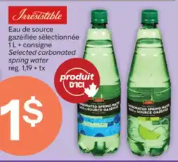 Brunet Eau de source gazéifiée sélectionnée offer