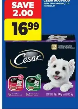 Real Canadian Superstore Cesar dog food offer