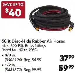 Princess Auto 50 ft Dino-Hide Rubber Air Hoses offer