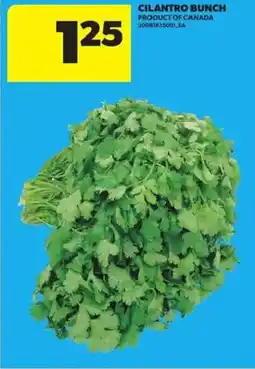 Atlantic Superstore Cilantro bunch offer