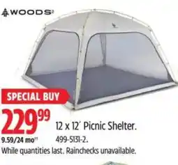 Canadian Tire WOODS 12 x 12' Picnic Shelter offer
