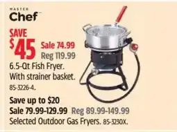 Canadian Tire MASTER CHEF 6.5-Qt Fish Fryer. With strainer basket offer