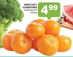 Colemans Sweet juicy clementines offer