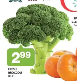 Colemans Fresh broccoli offer