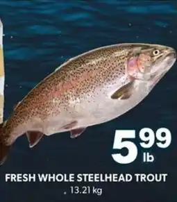 Colemans Fresh whole steelhead trout offer