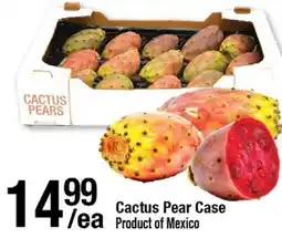 Arz Fine Foods Cactus Pear Case offer