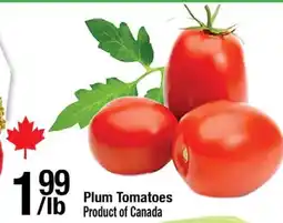 Arz Fine Foods Plum Tomatoes offer