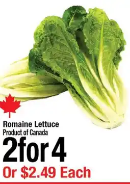 Arz Fine Foods Romaine Lettuce offer