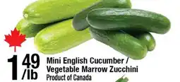 Arz Fine Foods Mini English Cucumbe / Vegetable Marrow Zucchini offer