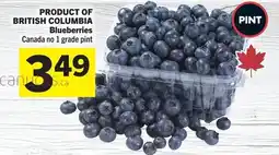 IGA Blueberries offer