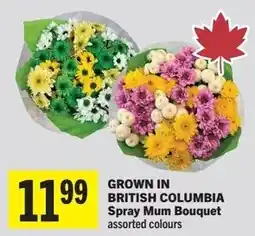 IGA Spray Mum Bouquet offer