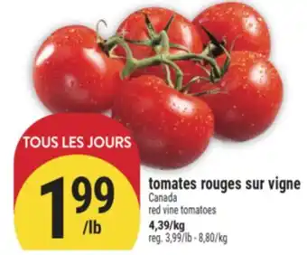 Marché Adonis TOMATES ROUGES SUR VIGNE | RED VINE TOMATOES offer