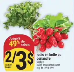 Marché Adonis RADIS EN BOTTE OU CORIANDRE | RADISH OR CORIANDER BUNCH offer