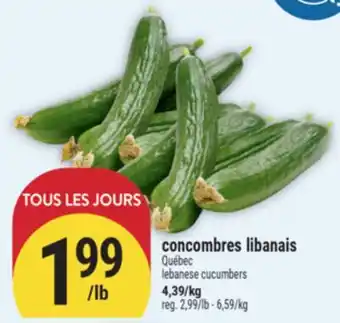 Marché Adonis CONCOMBRES LIBANAIS | LEBANESE CUCUMBERS offer