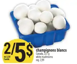 Marché Adonis CHAMPIGNONS BLANCS | WHITE MUSHROOMS offer