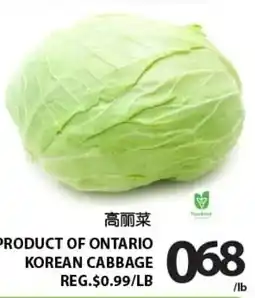 Centra Food Market Korean cabbage offer