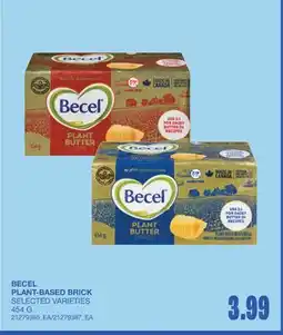 Wholesale Club PLANT-BASED BRICK offer