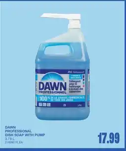 Wholesale Club PROFESSIONAL DISH SOAP WITH PUMP offer