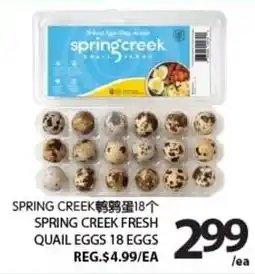 Centra Food Market Spring creek fresh quail eggs 18 eggs offer