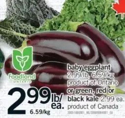 Fortinos baby eggplant offer