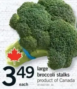 Fortinos large broccoli stalks offer