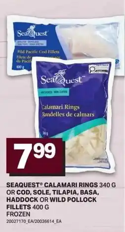 Freshmart Seaquest calamari rings or cod, sole, tilapia, basa, haddock or wild pollock offer
