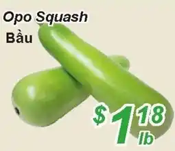 Golden Fresh Market Opo squash offer