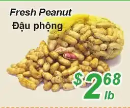 Golden Fresh Market Fresh peanut offer