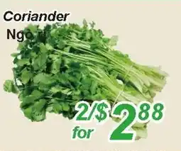 Golden Fresh Market Coriander offer