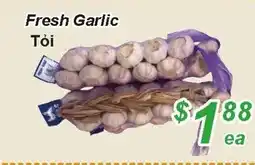 Golden Fresh Market Fresh garlic offer