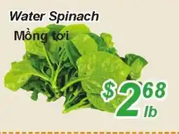 Golden Fresh Market Water spinach offer