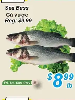 Golden Fresh Market Sea bass offer