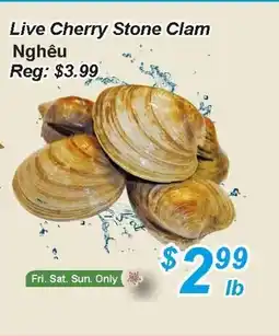 Golden Fresh Market Live cherry stone clam offer
