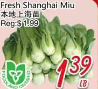 Foody Mart Fresh Shanghai Miu offer