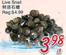 Foody Mart Live Snail offer
