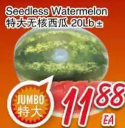 Foody Mart Seedless Watermelon offer